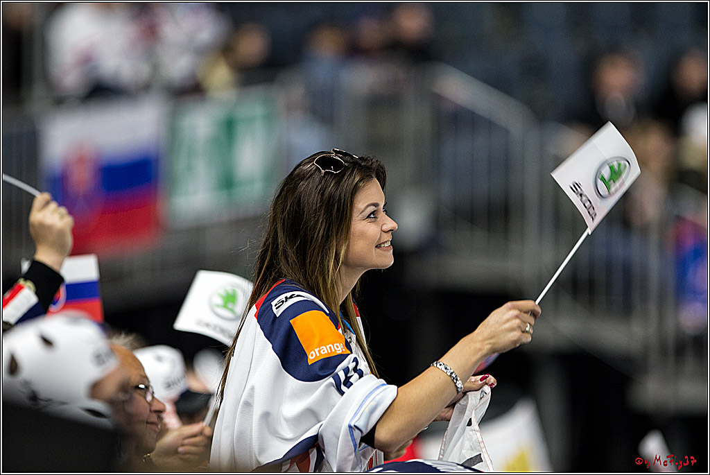 IIHF WM 2017, Slowakei - Daenemark, 09.05.2017